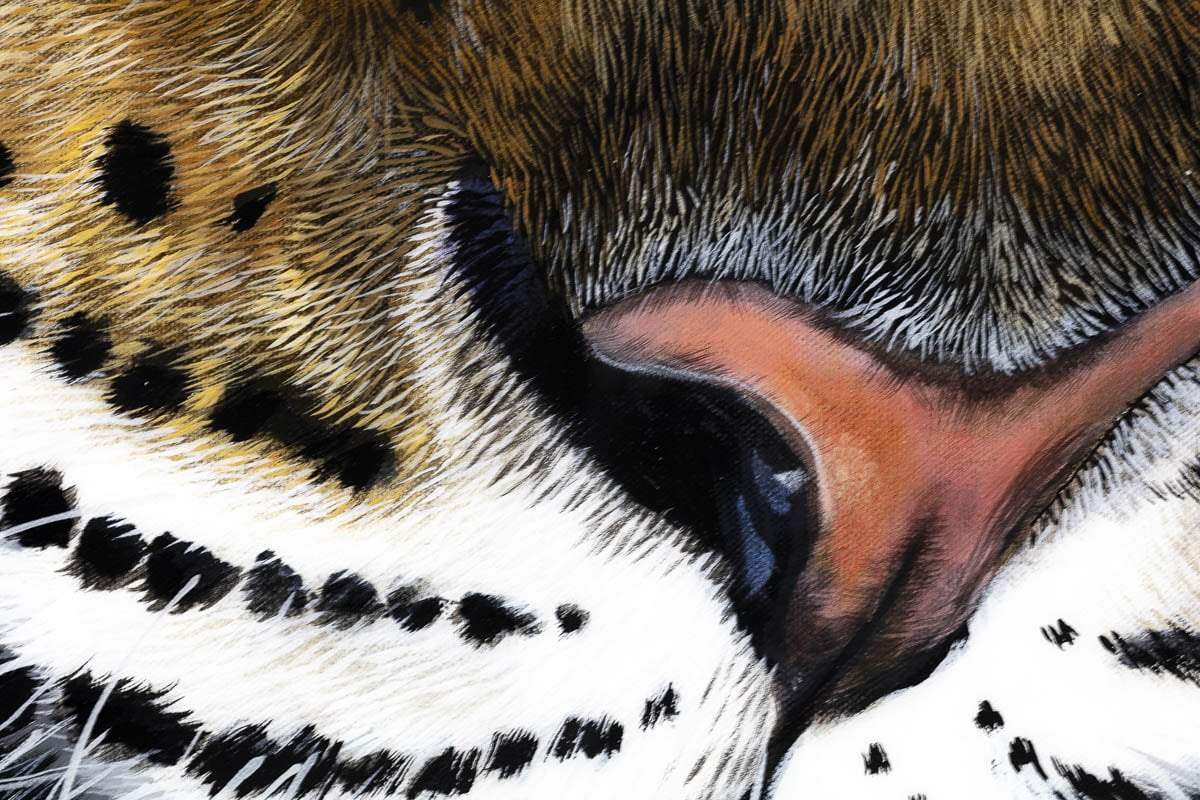 Kobe - Original by artist Faye Nasser-Joley - Wyecliffe Galleries