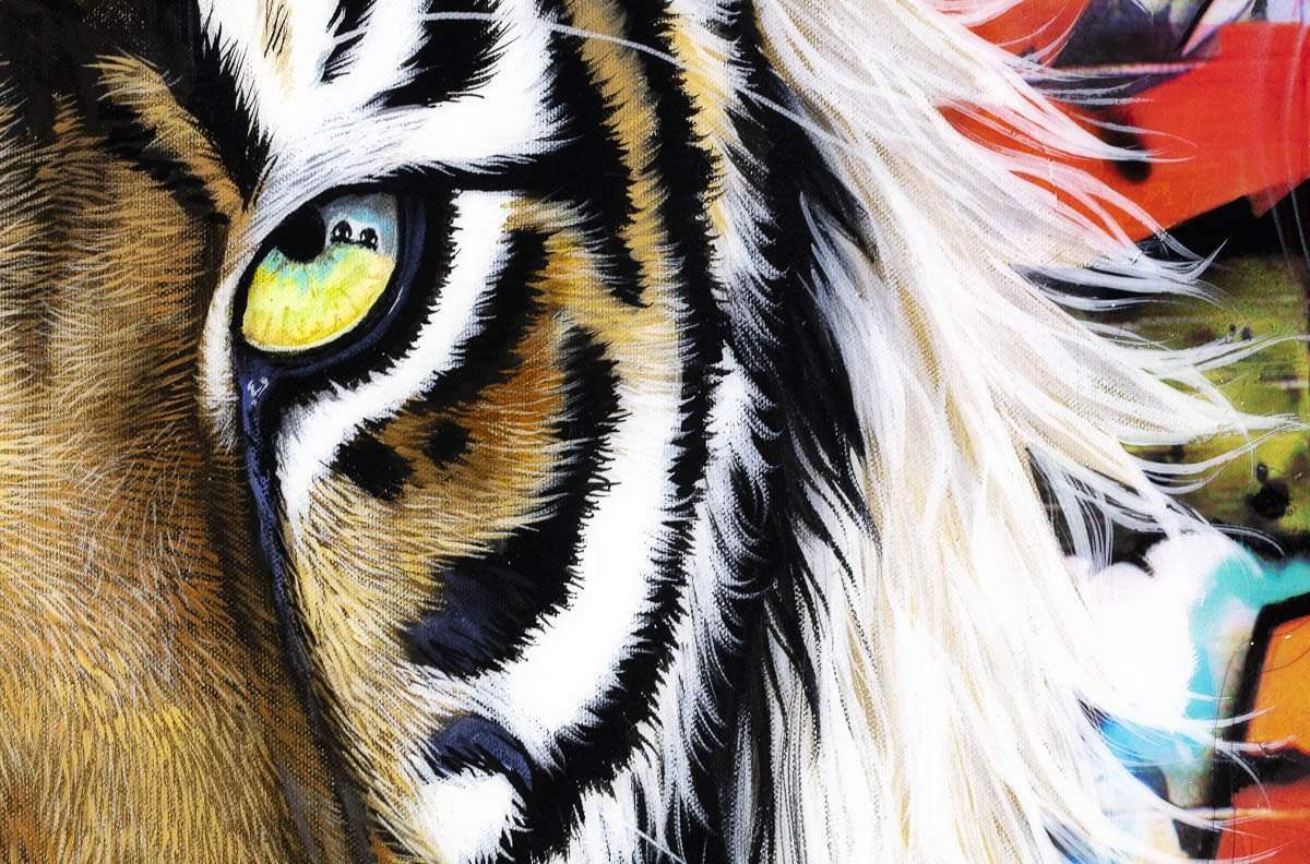 Kobe - Original by artist Faye Nasser-Joley - Wyecliffe Galleries