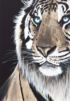 Kothari - Original by artist Faye Nasser-Joley - Wyecliffe Galleries