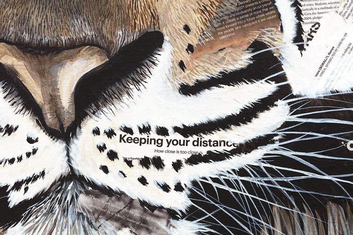 Kothari - Original by artist Faye Nasser-Joley - Wyecliffe Galleries