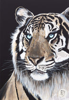 Kothari - Original by artist Faye Nasser-Joley - Wyecliffe Galleries