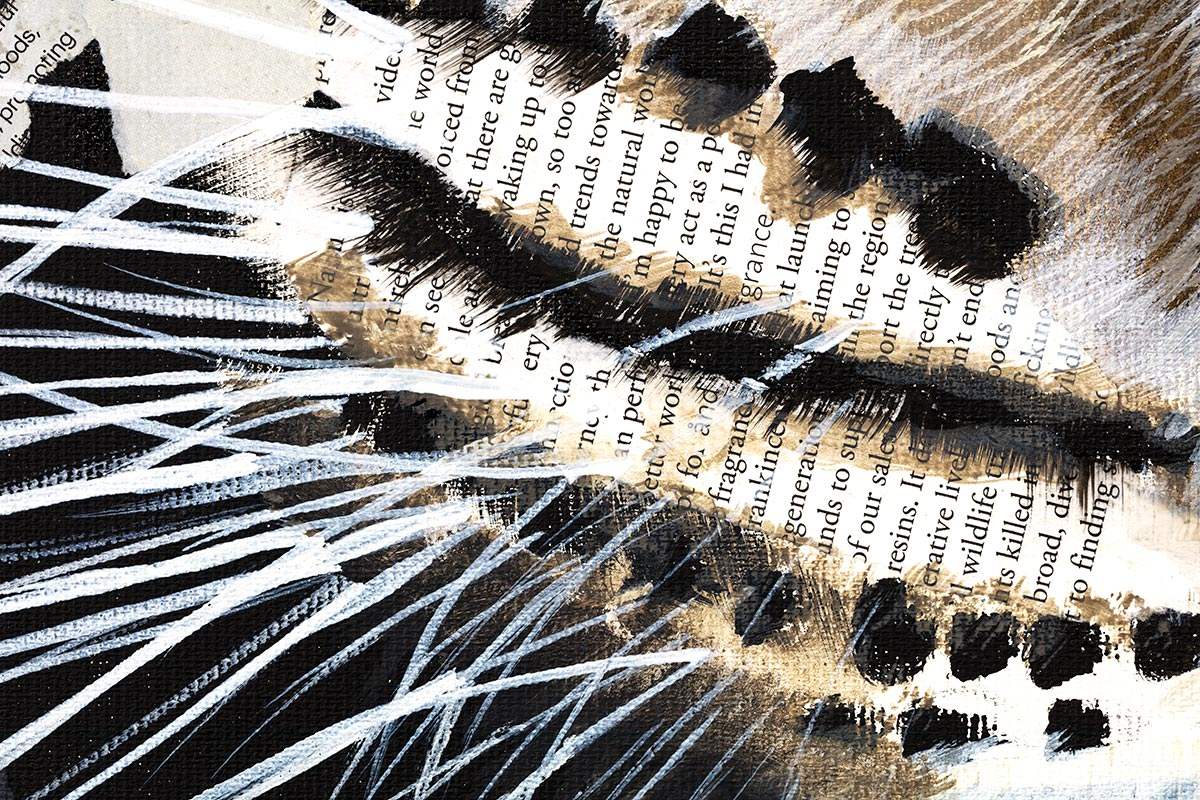 Latika - Original by artist Faye Nasser-Joley - Wyecliffe Galleries