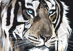 Latika - Original by artist Faye Nasser-Joley - Wyecliffe Galleries