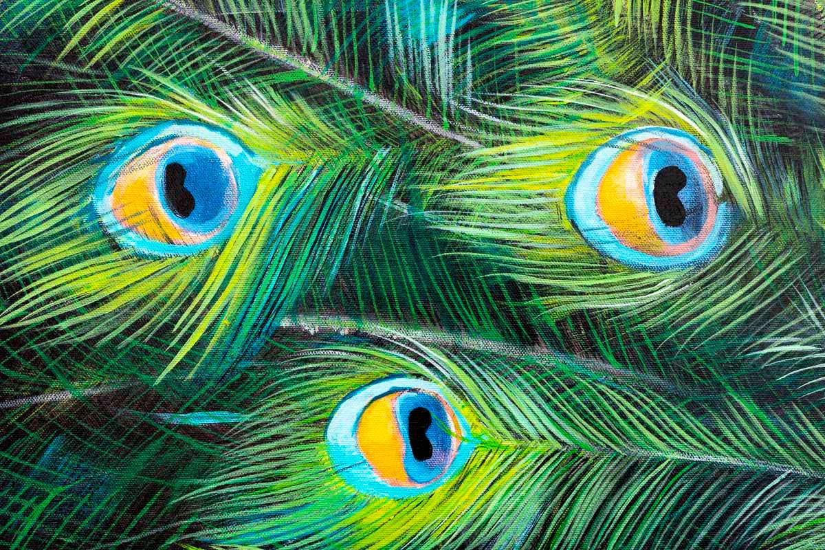 Peacock Teion - Original by artist Faye Nasser-Joley - Wyecliffe Galleries