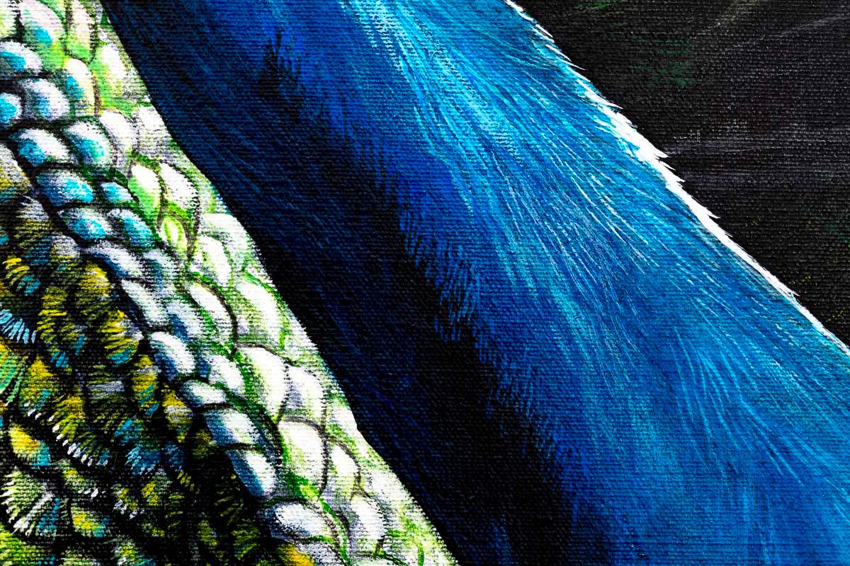 Peacock Teion - Original by artist Faye Nasser-Joley - Wyecliffe Galleries