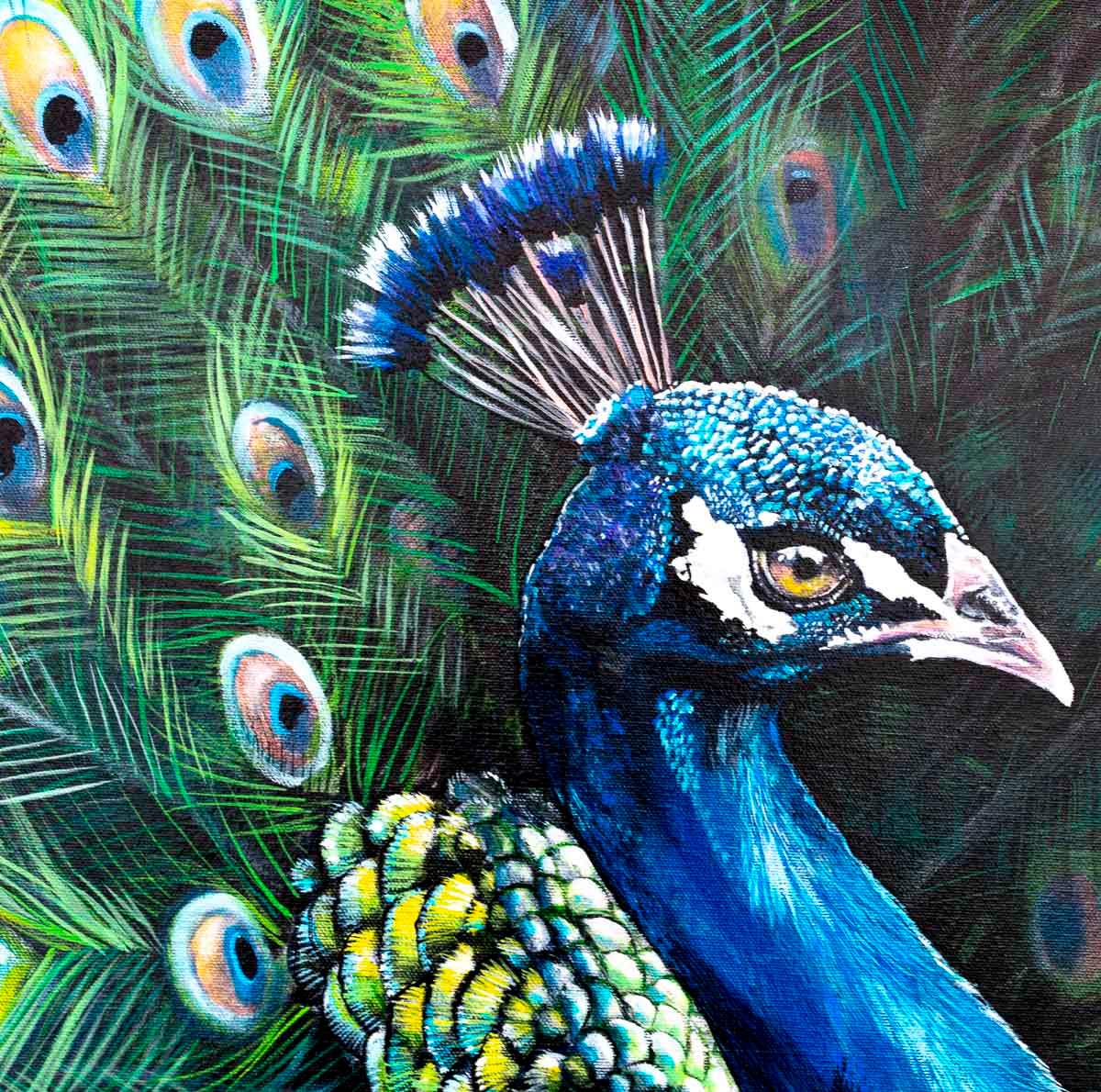 Peacock Teion - Original by artist Faye Nasser-Joley - Wyecliffe Galleries