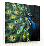Peacock Teion - Original by artist Faye Nasser-Joley - Wyecliffe Galleries