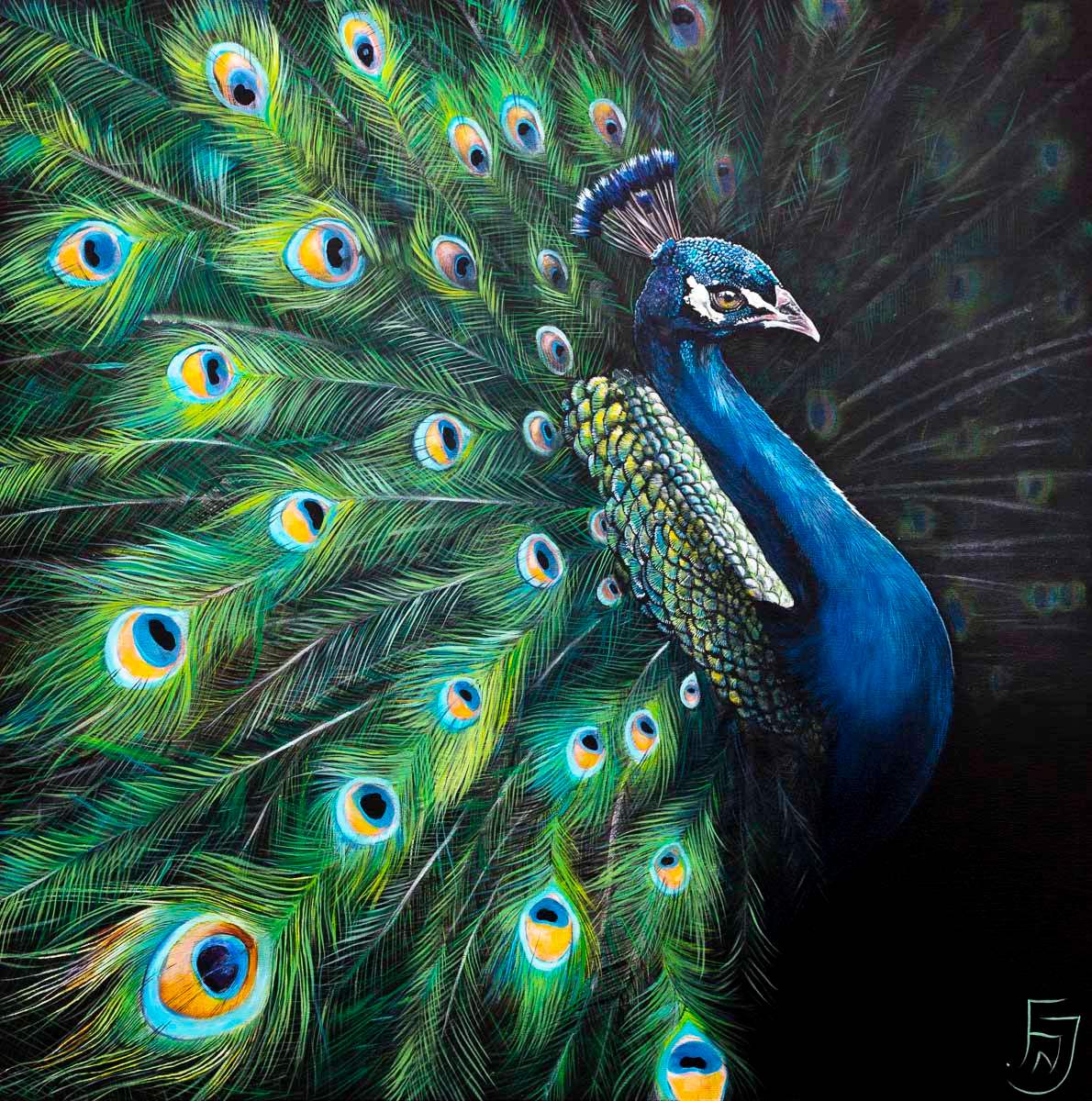 Peacock Teion - Original by artist Faye Nasser-Joley - Wyecliffe Galleries