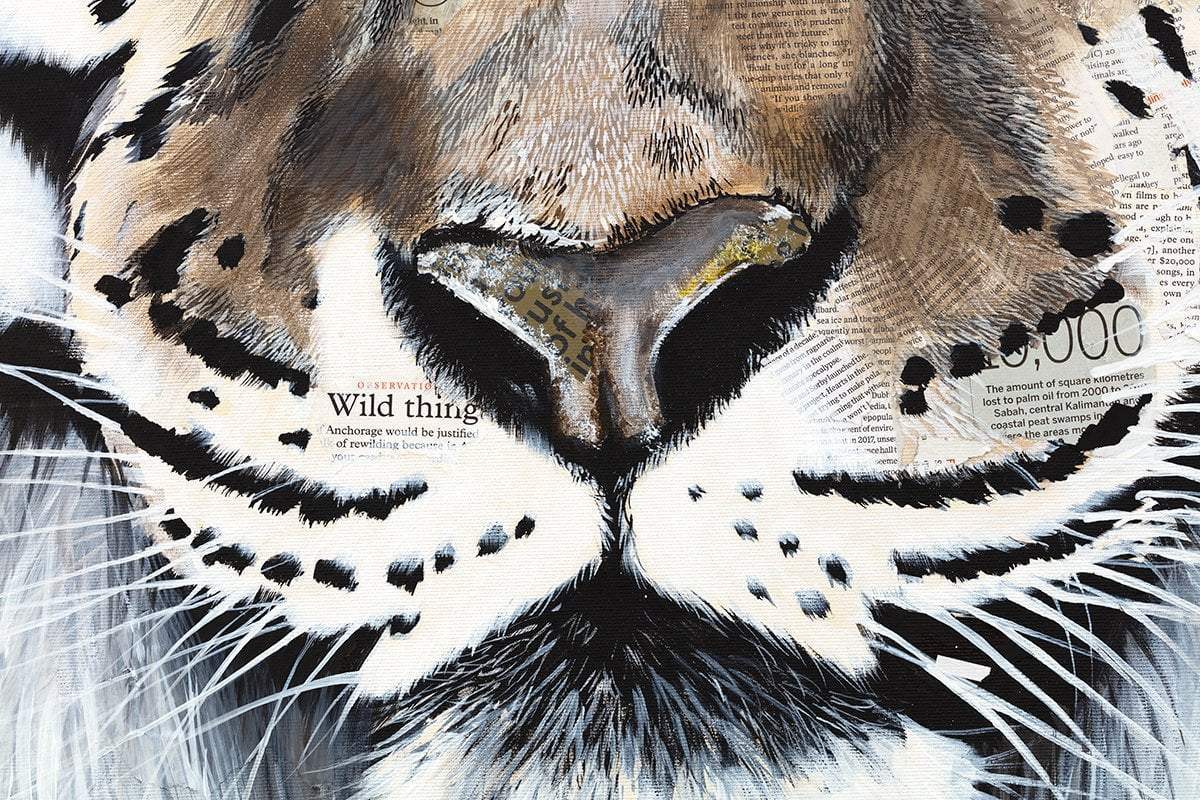 Piramal - Original by artist Faye Nasser-Joley - Wyecliffe Galleries