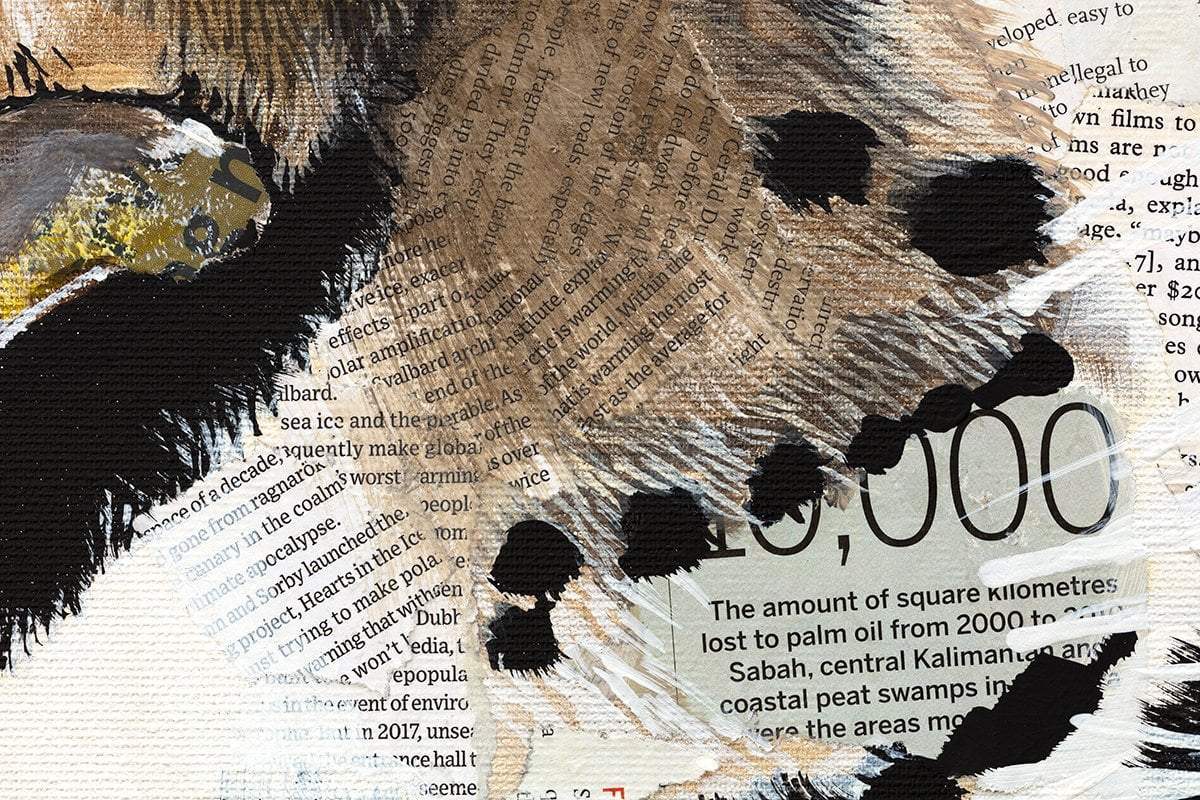 Piramal - Original by artist Faye Nasser-Joley - Wyecliffe Galleries