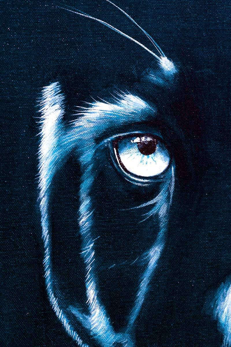 Sapphire - Original - SOLD by artist Faye Nasser Joley - Wyecliffe Galleries