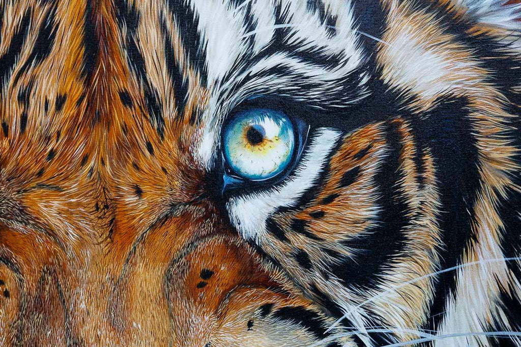 Shah - Original by artist Faye Nasser-Joley - Wyecliffe Galleries