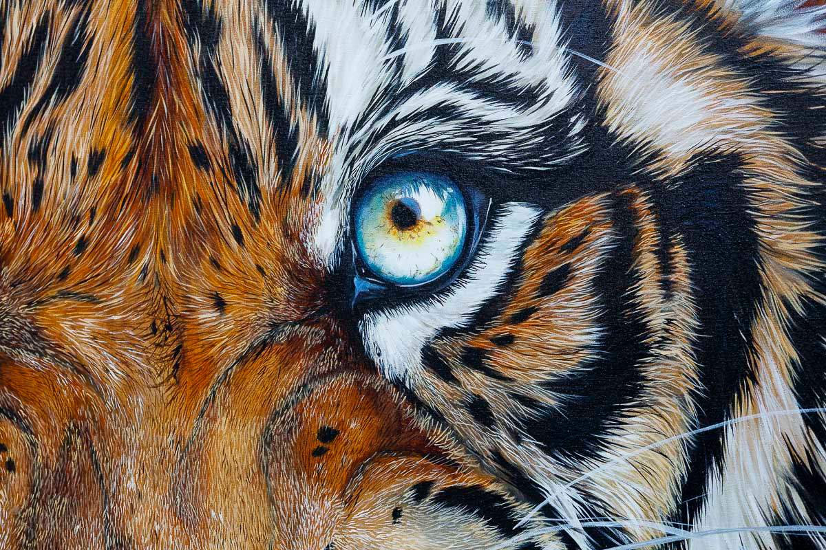 Shah - Original by artist Faye Nasser-Joley - Wyecliffe Galleries