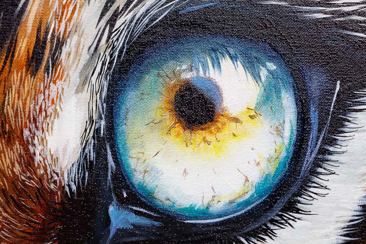 Shah - Original by artist Faye Nasser-Joley - Wyecliffe Galleries