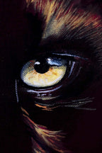 Spessartite - Original - SOLD by artist Faye Nasser Joley - Wyecliffe Galleries