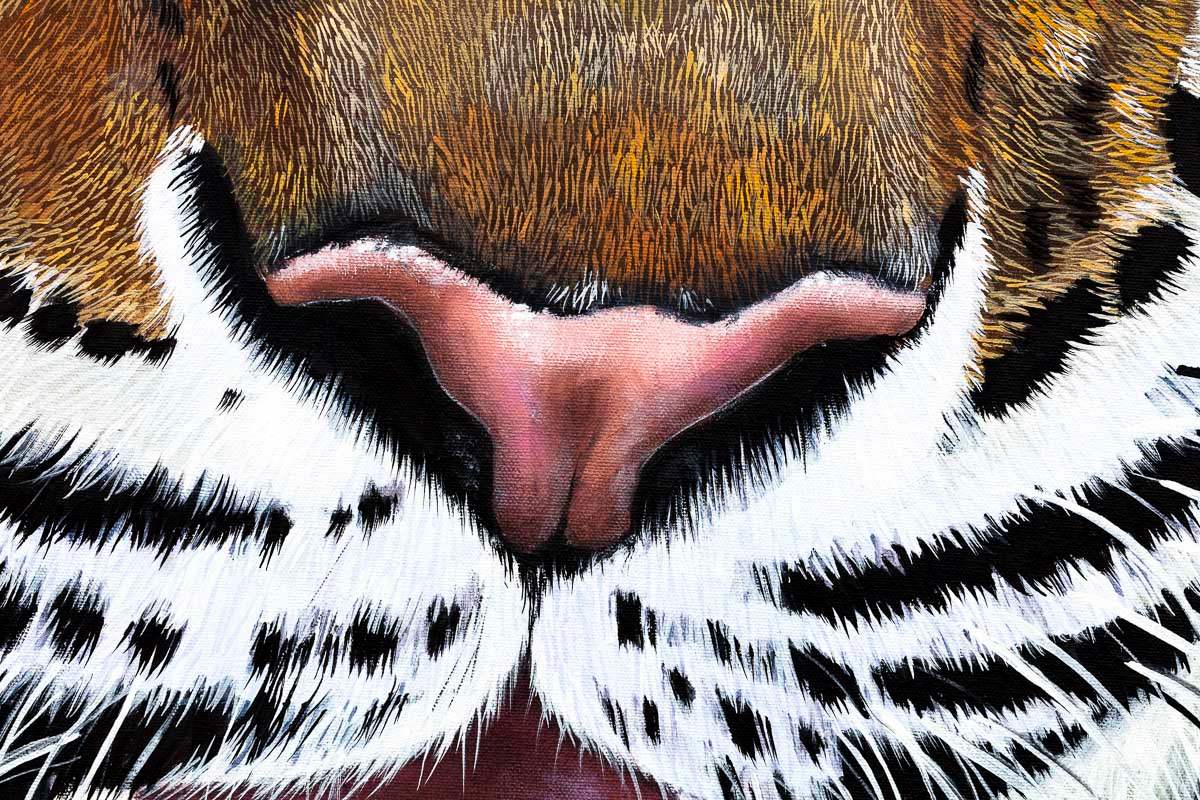 Tiger Kaito - Original by artist Faye Nasser Joley - Wyecliffe Galleries