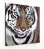Tiger Kaito - Original by artist Faye Nasser Joley - Wyecliffe Galleries