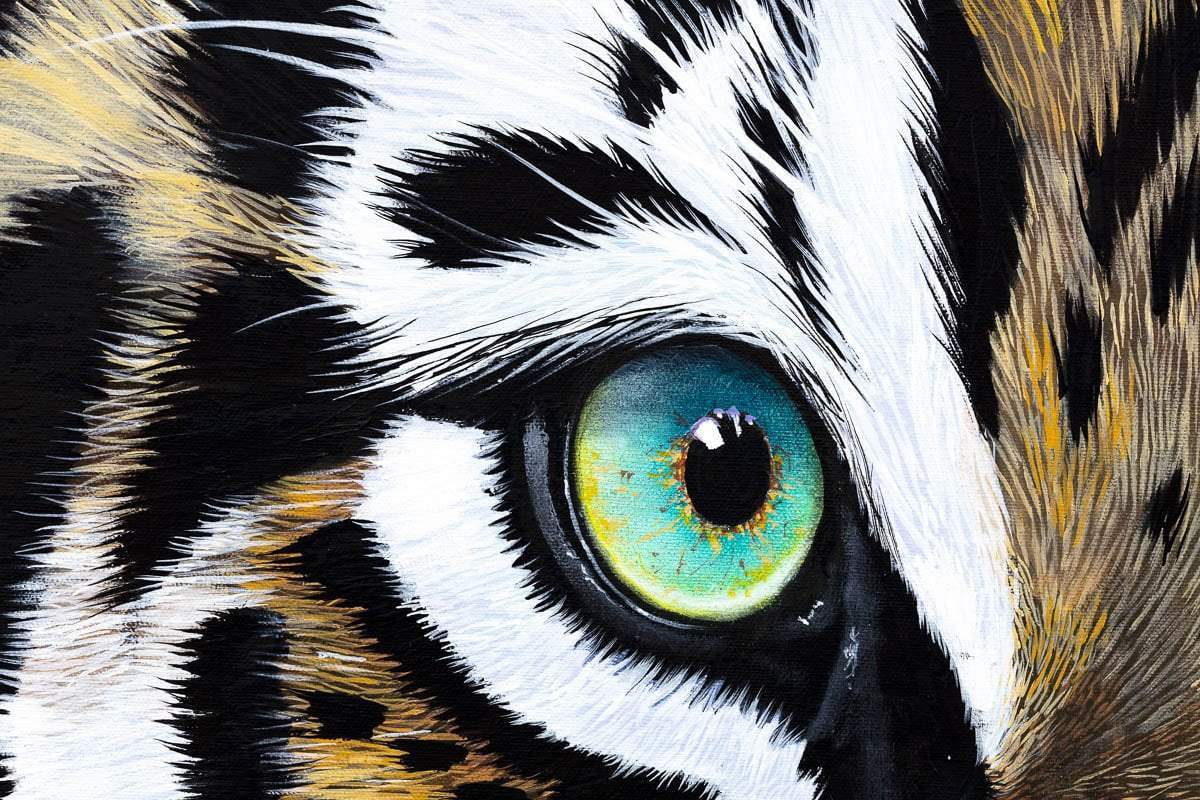 Tiger Kaito - Original by artist Faye Nasser Joley - Wyecliffe Galleries