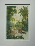 Winter Garden - SOLD by artist Frank Martin - Wyecliffe Galleries