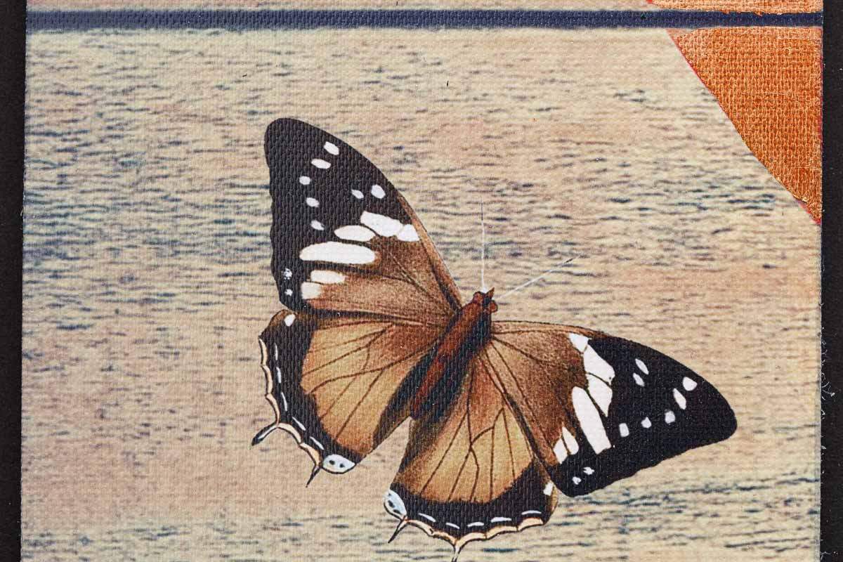 Cola Byobu (Copper) - Edition by artist Gareth Tristan Evans - Wyecliffe Galleries