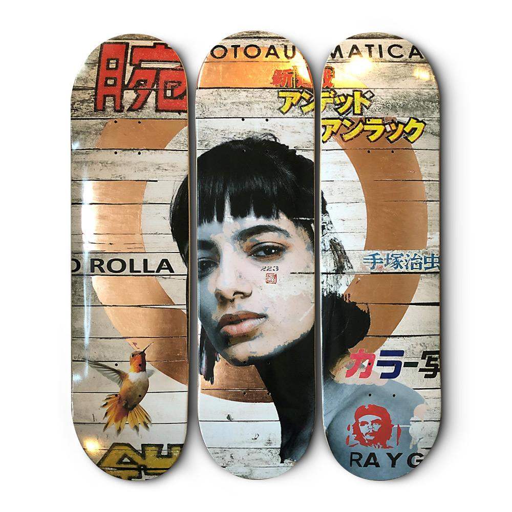 Junk - Skate Decks Format - Edition - SOLD by artist Gareth Tristan Evans - Wyecliffe Galleries