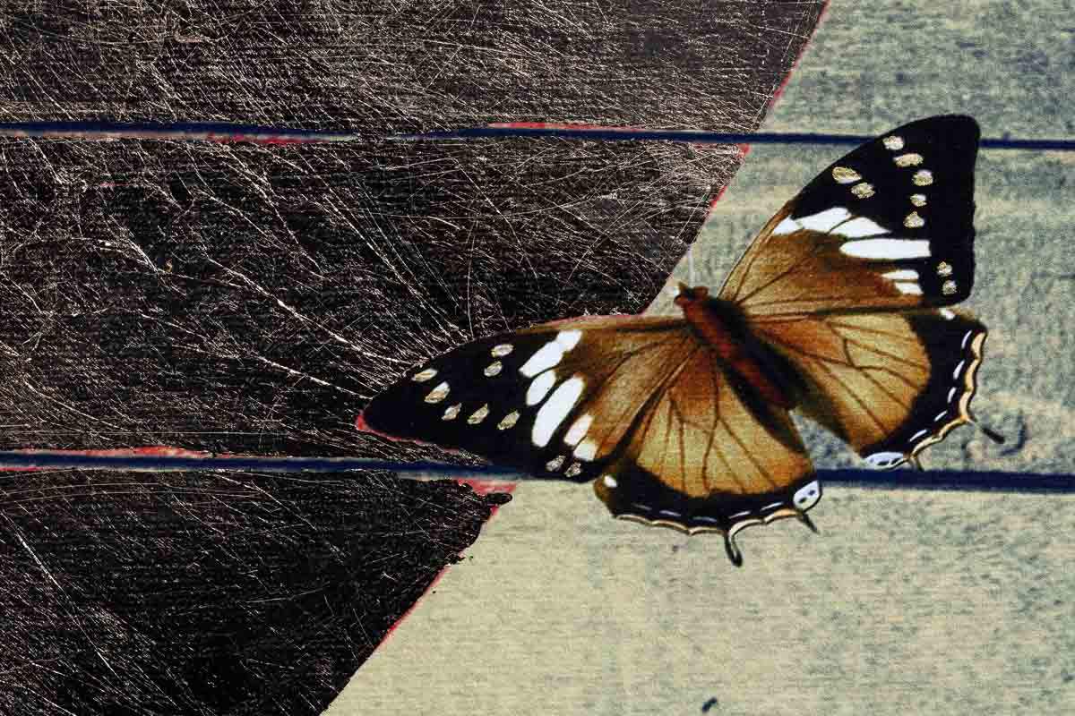 Patience Simbol (Gold) - XL - Final Edition - SOLD by artist Gareth Tristan Evans - Wyecliffe Galleries