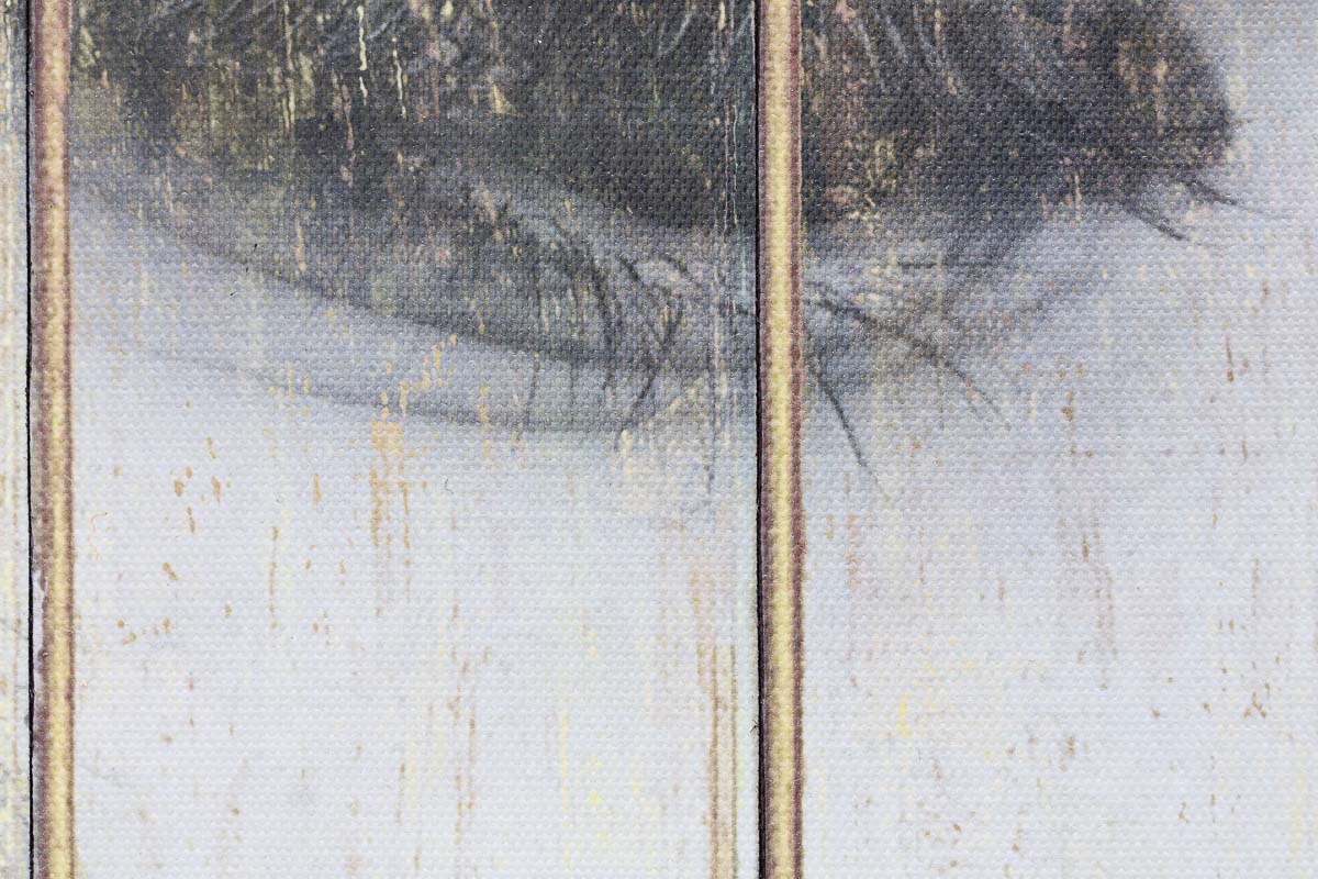 Wallflower - Edition Gareth Tristan Evans Framed