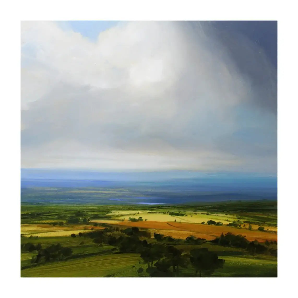 Nature's Way - SOLD by artist Harry Brioche - Wyecliffe Galleries