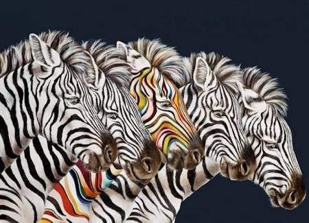 Dare To Be Different - SOLD by artist Hayley Goodhead - Wyecliffe Galleries