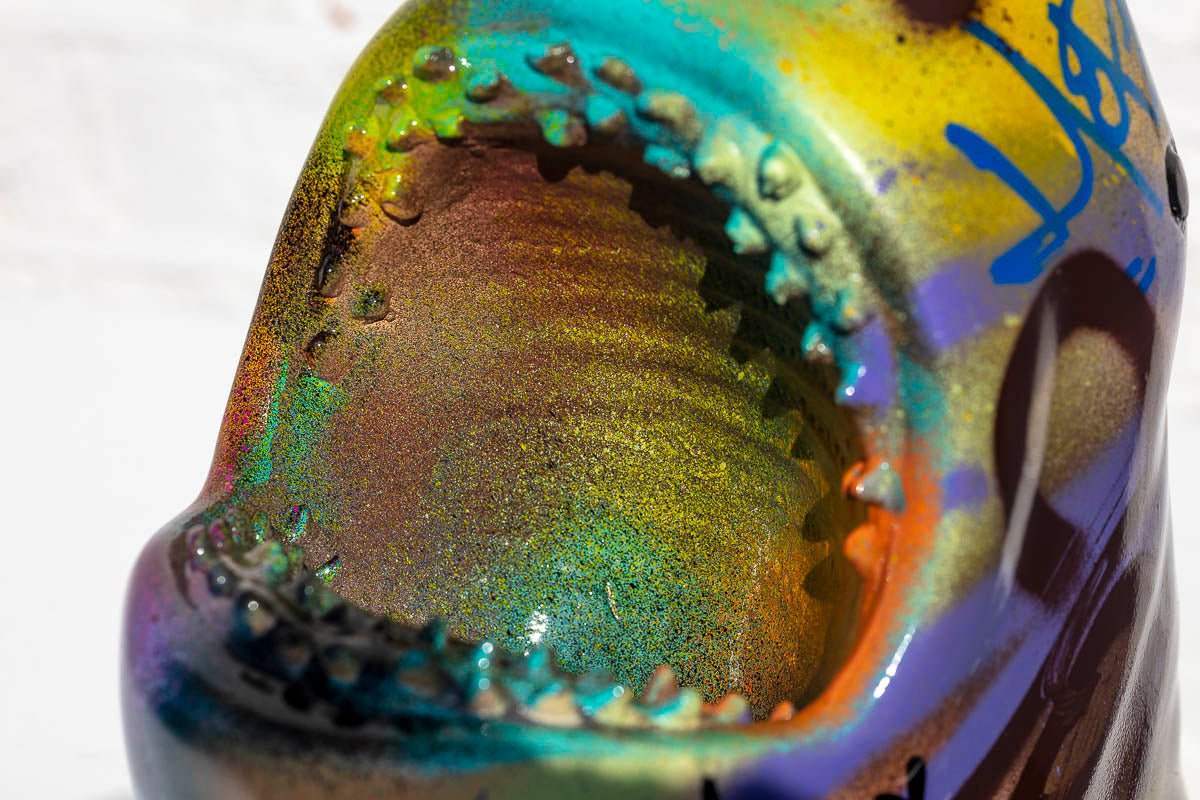 Small Shark Head IIII - Original - SOLD by artist Jeremy Olsen - Wyecliffe Galleries