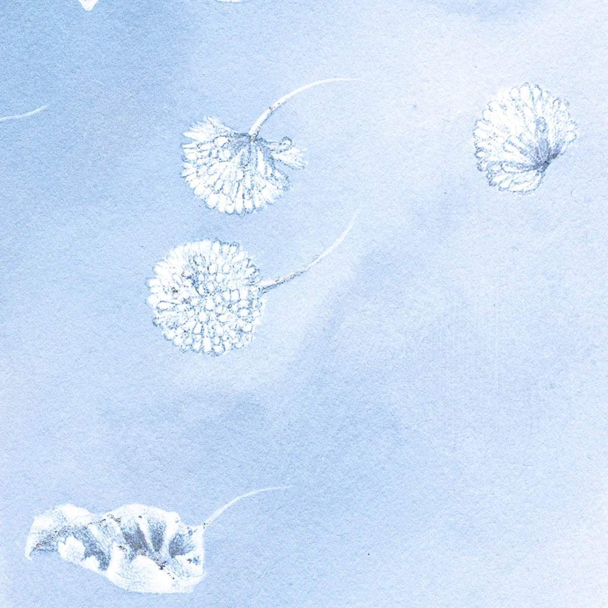 Becoming Nobody & Astral Storylines - Boutique Edition SET - SOLD by artist Kerry Darlington - Wyecliffe Galleries