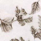 Becoming Nobody & Astral Storylines - Boutique Edition SET - SOLD by artist Kerry Darlington - Wyecliffe Galleries