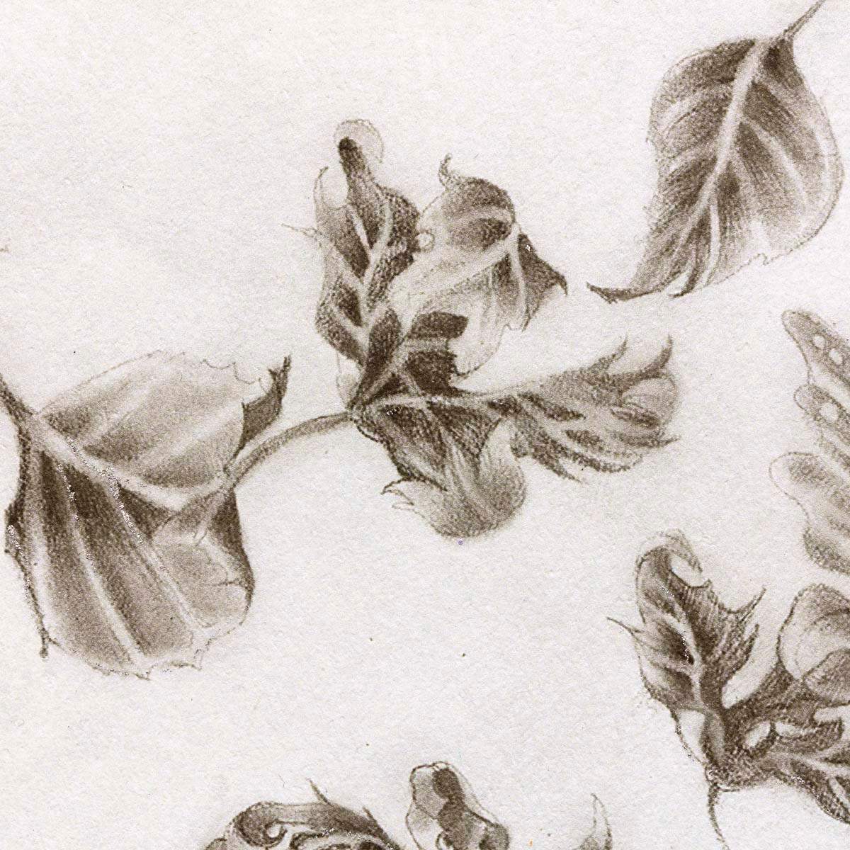 Becoming Nobody & Astral Storylines - Boutique Edition SET - SOLD by artist Kerry Darlington - Wyecliffe Galleries