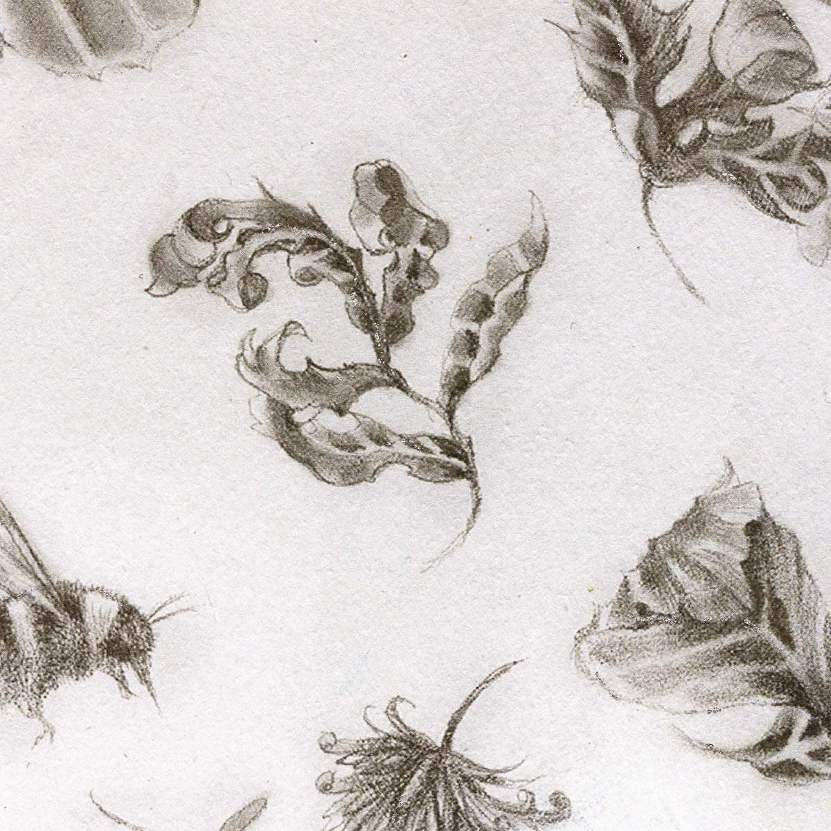 Becoming Nobody - Unique Edition - SOLD by artist Kerry Darlington - Wyecliffe Galleries