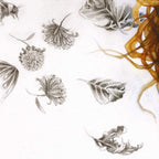 Becoming Nobody - Unique Edition - SOLD by artist Kerry Darlington - Wyecliffe Galleries