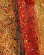 Copper Blaze - SOLD by artist Ken Rausch - Wyecliffe Galleries