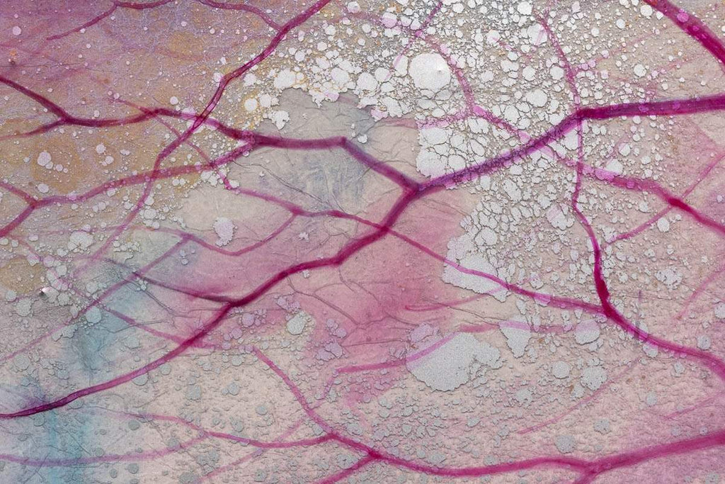 Ahimsa - Original - SOLD by artist Kerry Darlington - Wyecliffe Galleries