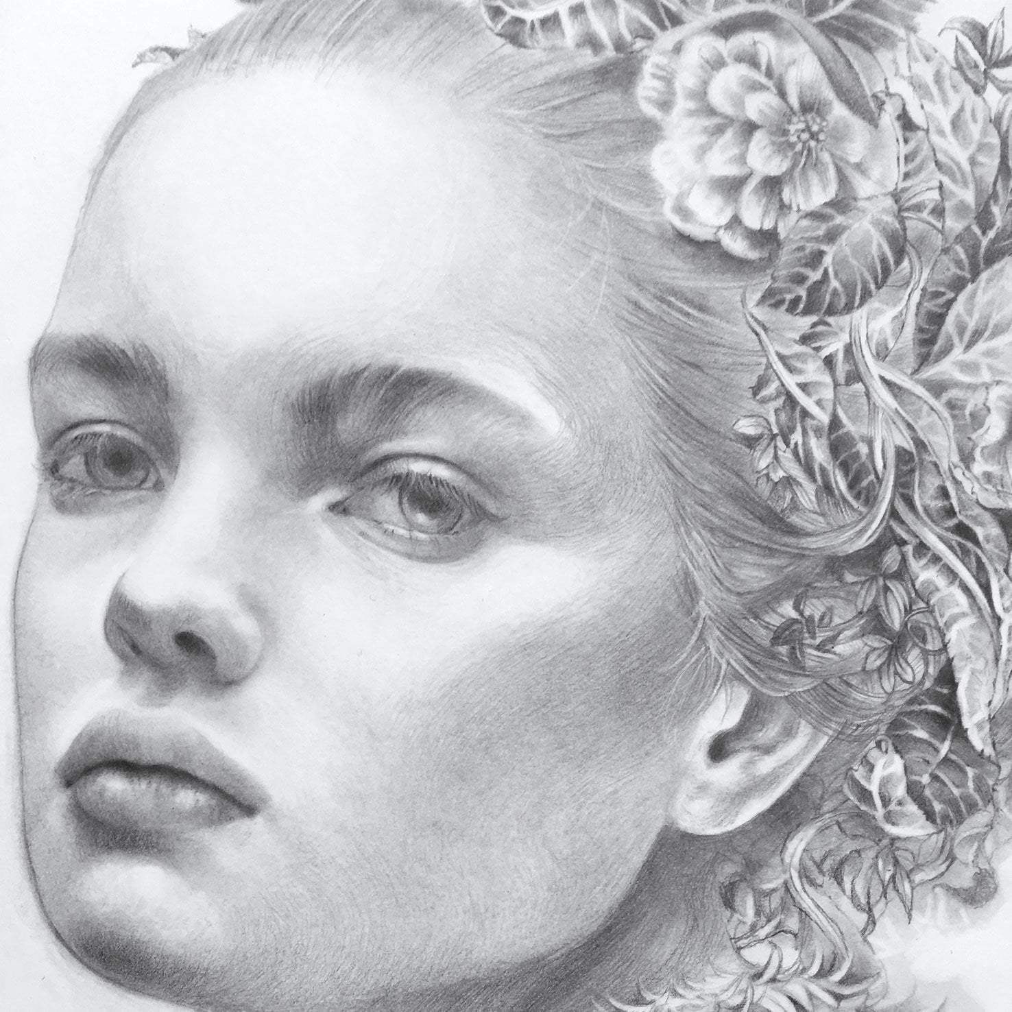 Bandrui - Original Sketch - SOLD by artist Kerry Darlington - Wyecliffe Galleries