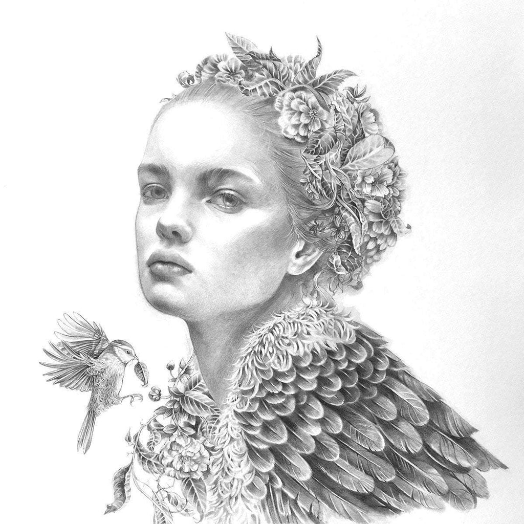 Bandrui - Original Sketch - SOLD by artist Kerry Darlington - Wyecliffe Galleries