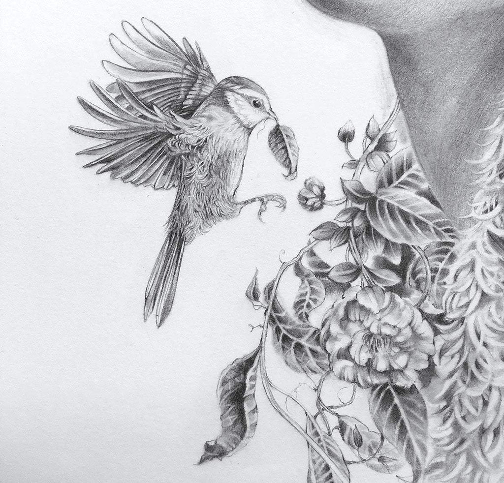 Bandrui - Original Sketch - SOLD by artist Kerry Darlington - Wyecliffe Galleries