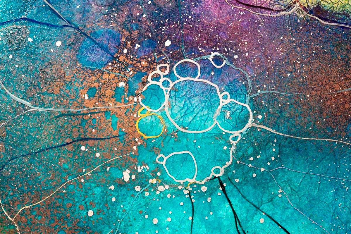 Bee Balm - Original - SOLD by artist Kerry Darlington - Wyecliffe Galleries