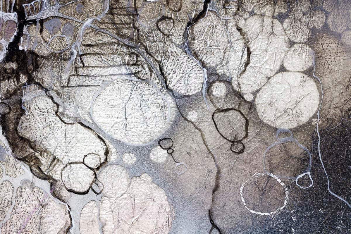 Belladonna Lane - Original by artist Kerry Darlington - Wyecliffe Galleries