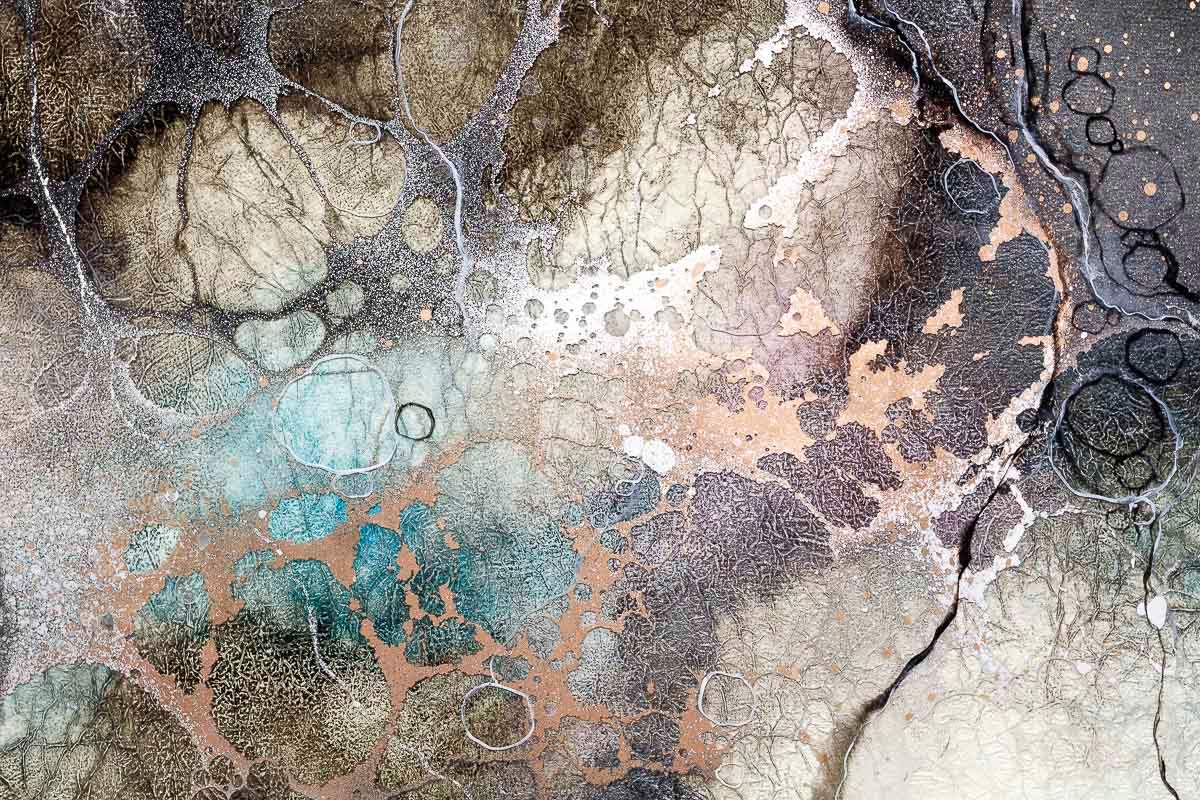 Belladonna Lane - Original by artist Kerry Darlington - Wyecliffe Galleries