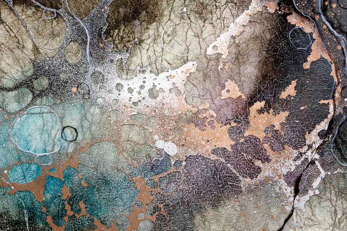 Belladonna Lane - Original by artist Kerry Darlington - Wyecliffe Galleries