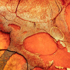 Burnt Sienna - Original - SOLD by artist Kerry Darlington - Wyecliffe Galleries