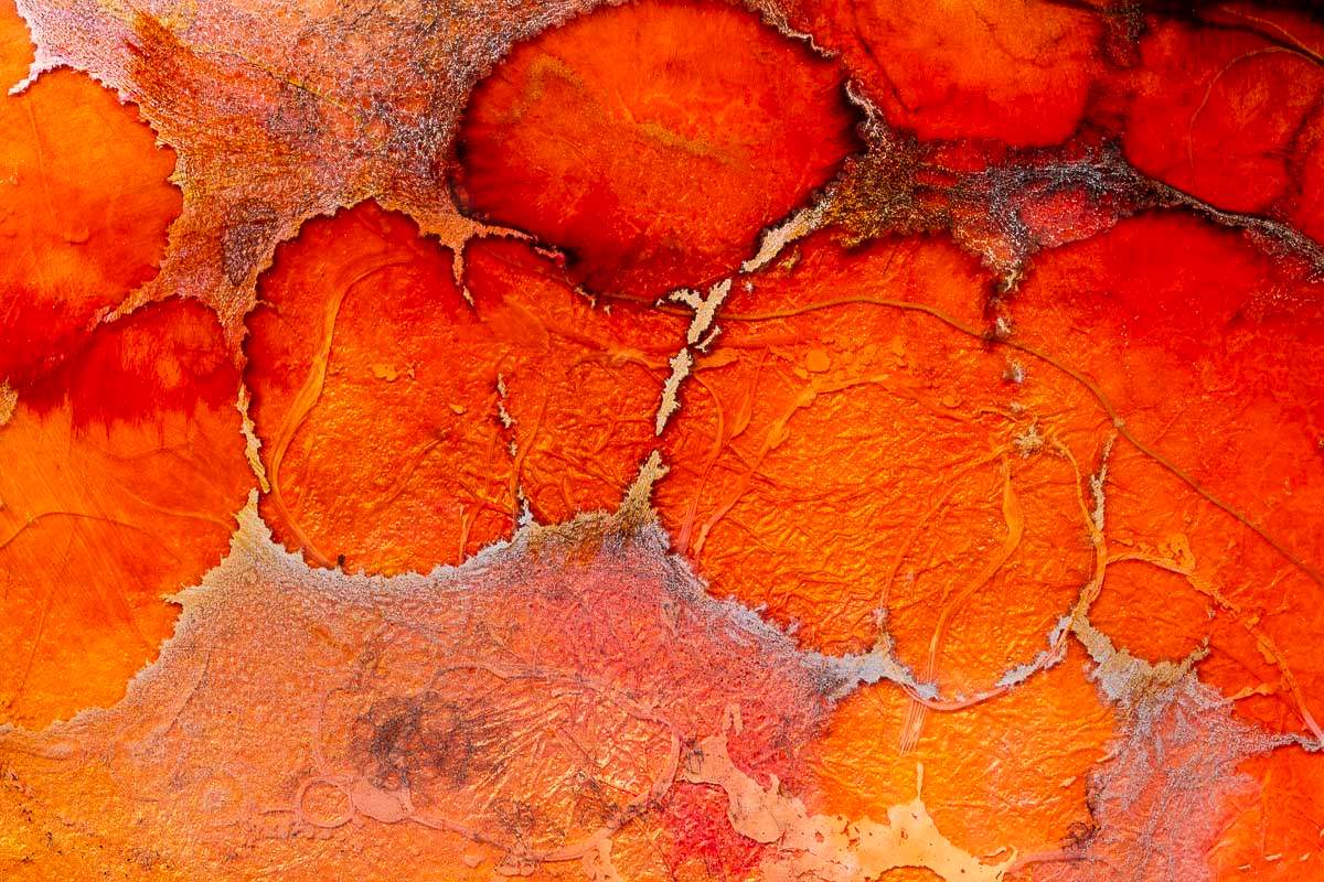 Chikurachiki - Original - SOLD by artist Kerry Darlington - Wyecliffe Galleries