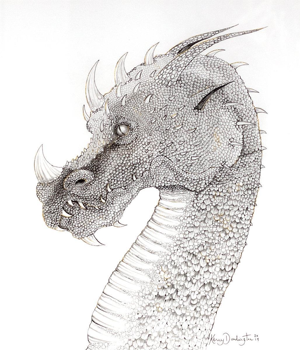 Dragon of Hidden Treasures - Sketch Kerry Darlington Framed