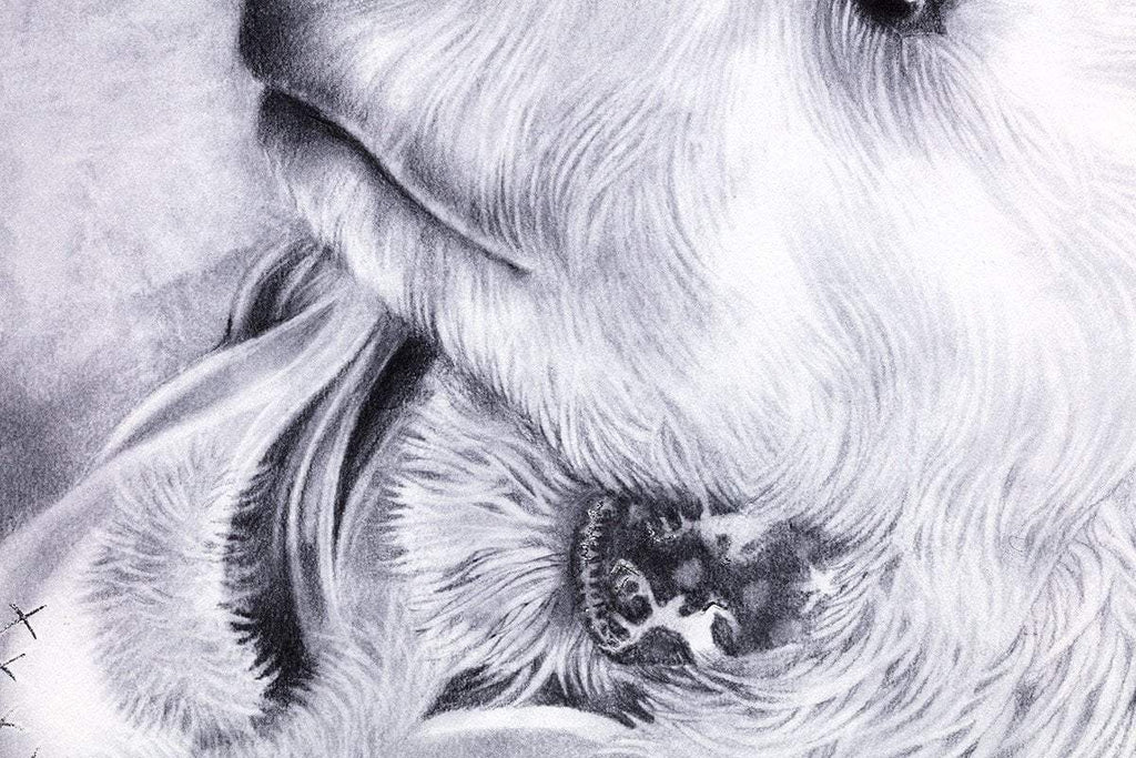 East of the Sun Sketch - Edition by artist Kerry Darlington - Wyecliffe Galleries