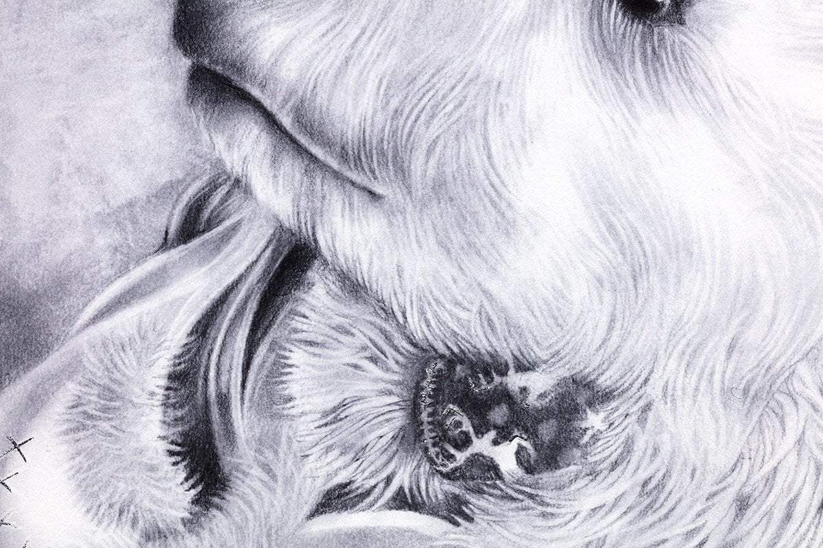 East of the Sun Sketch - Edition by artist Kerry Darlington - Wyecliffe Galleries