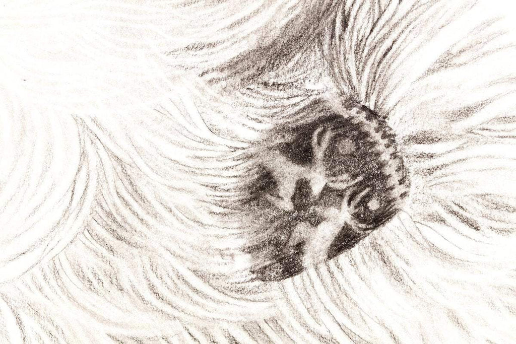 East of the Sun West of the Moon - Original Sketch - SOLD by artist Kerry Darlington - Wyecliffe Galleries